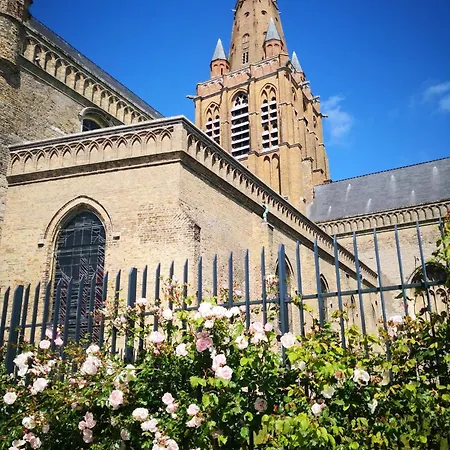 Le Phare De - Centre Et A Pied 3* Calais